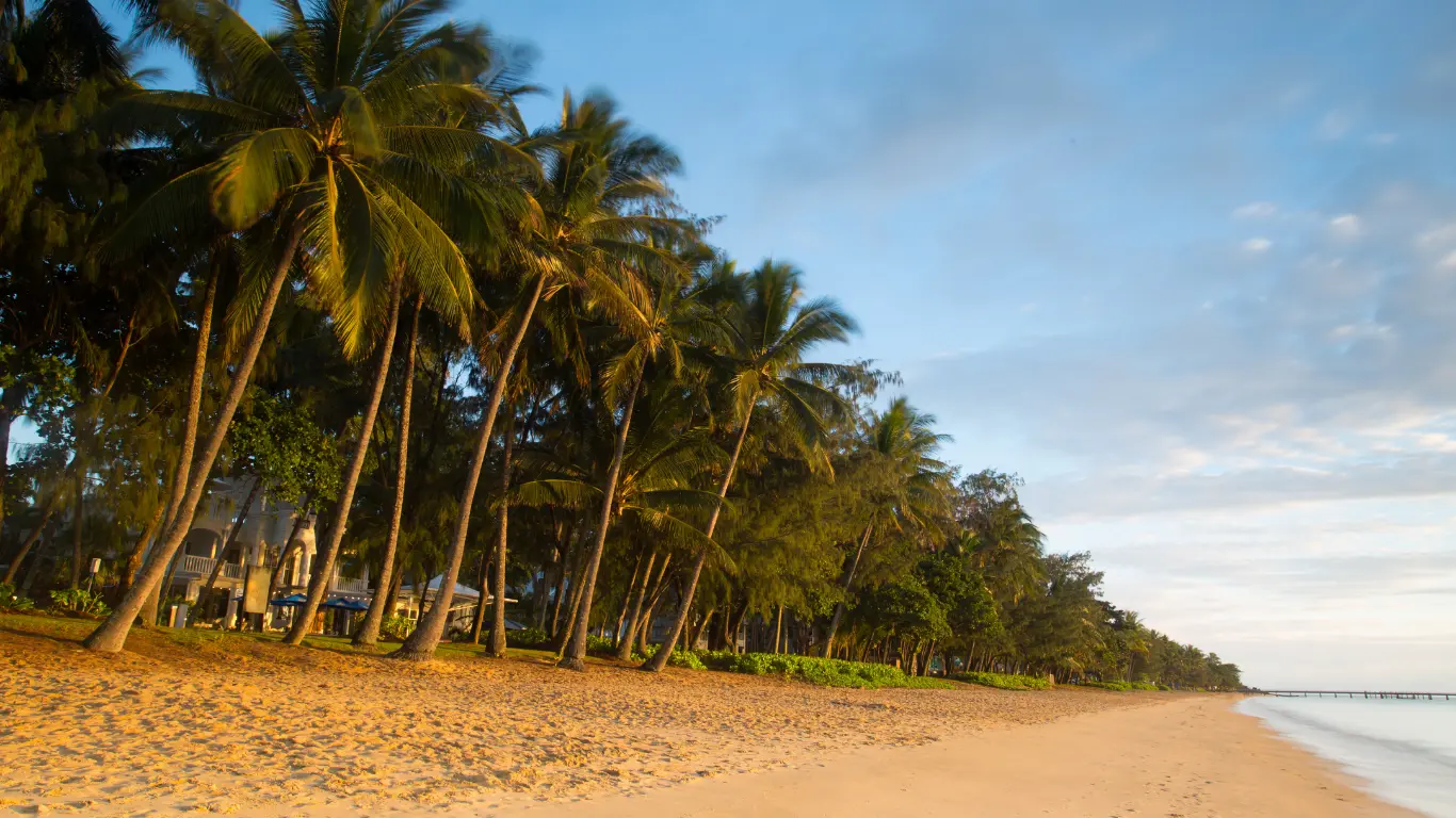 Palm-Cove-Beach