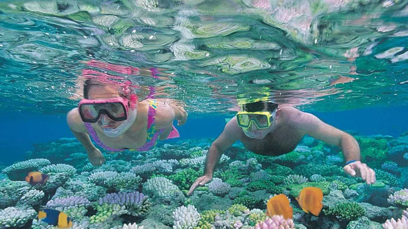Reef-Day-Trips