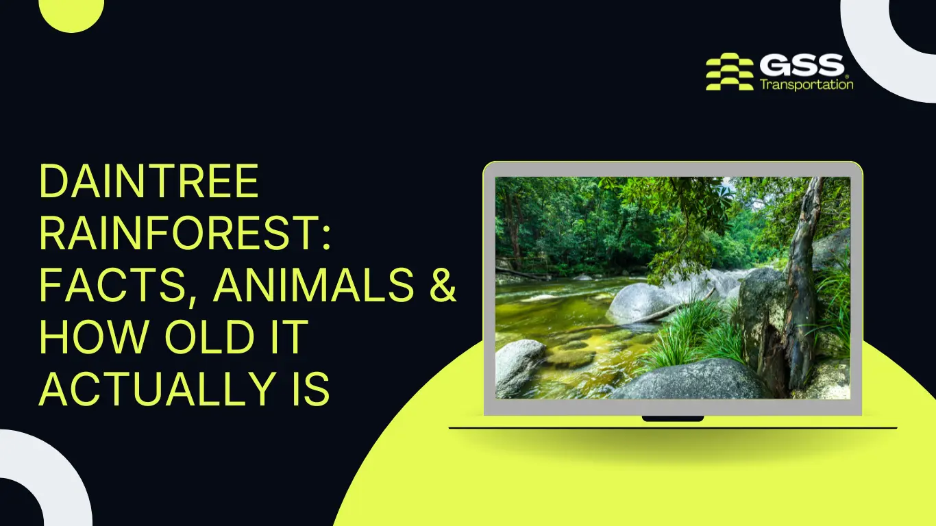 Daintree Rainforest Facts, Animals & How Old It Actually Is